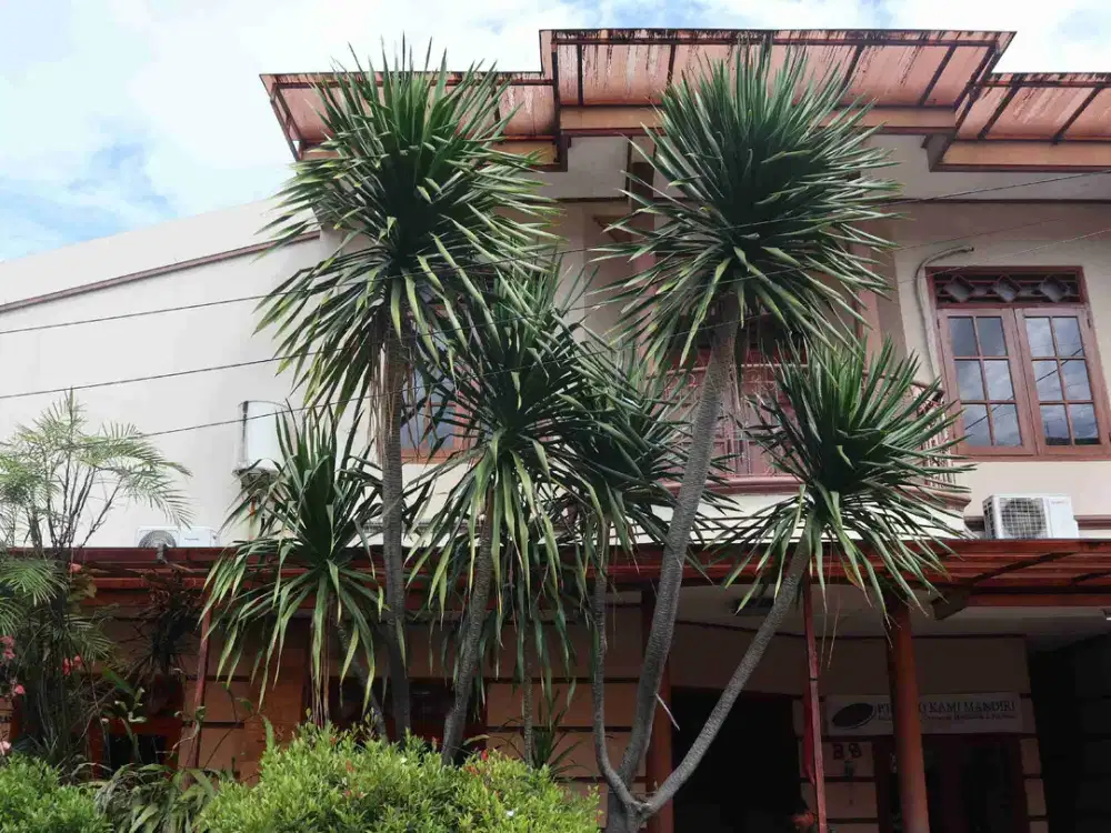 Dijual Rumah Lingkungan Asri Di Perumahan Karya Indah Village