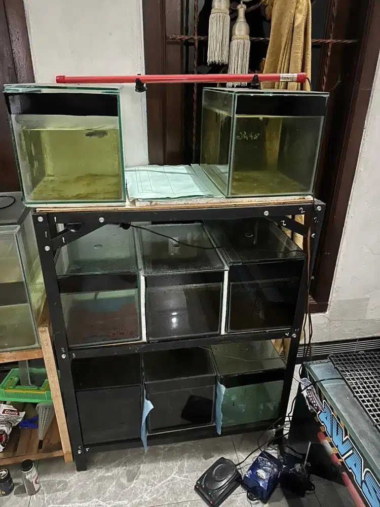 Aquarium chana fullset murah meriah