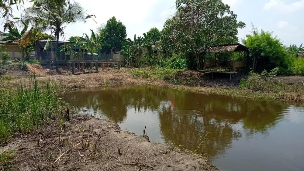 DIJUAL CEPAT!!! Sebidang tanah di KM 14 Tanahmas,luas 1590m2