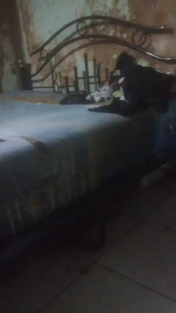 Kasur + tempat tidur