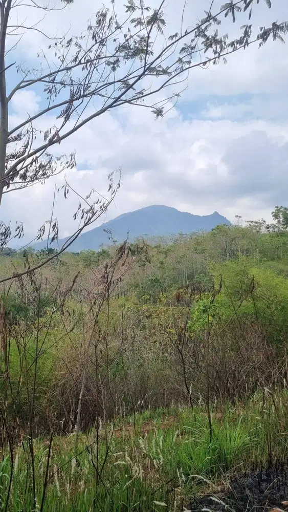 Dijual Cepat Tanah di Manglayang Bandung View Gunung bs Pangan Mandiri