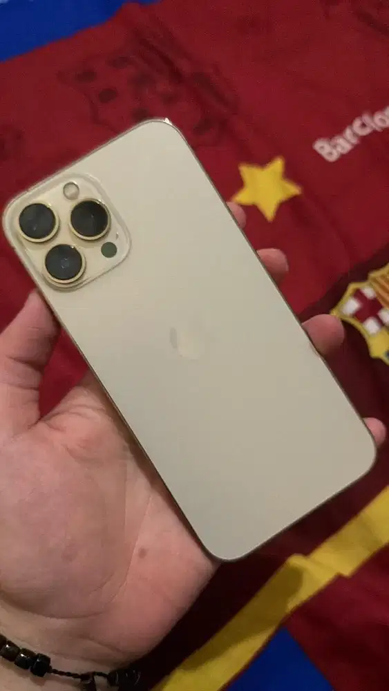 Iphone 13 pro 128GB Bea cukai