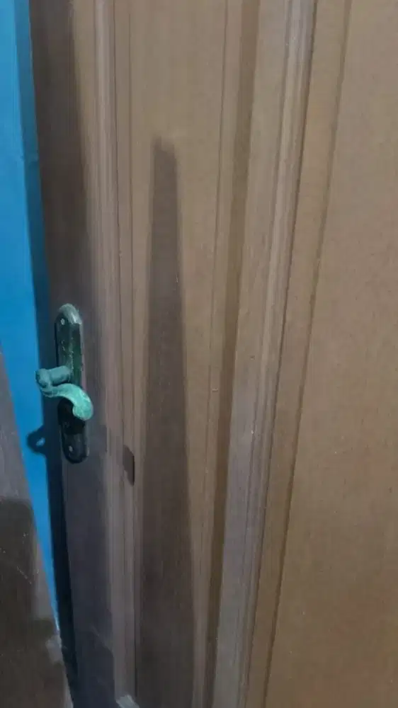 Daun pintu dari kayu kamper keras