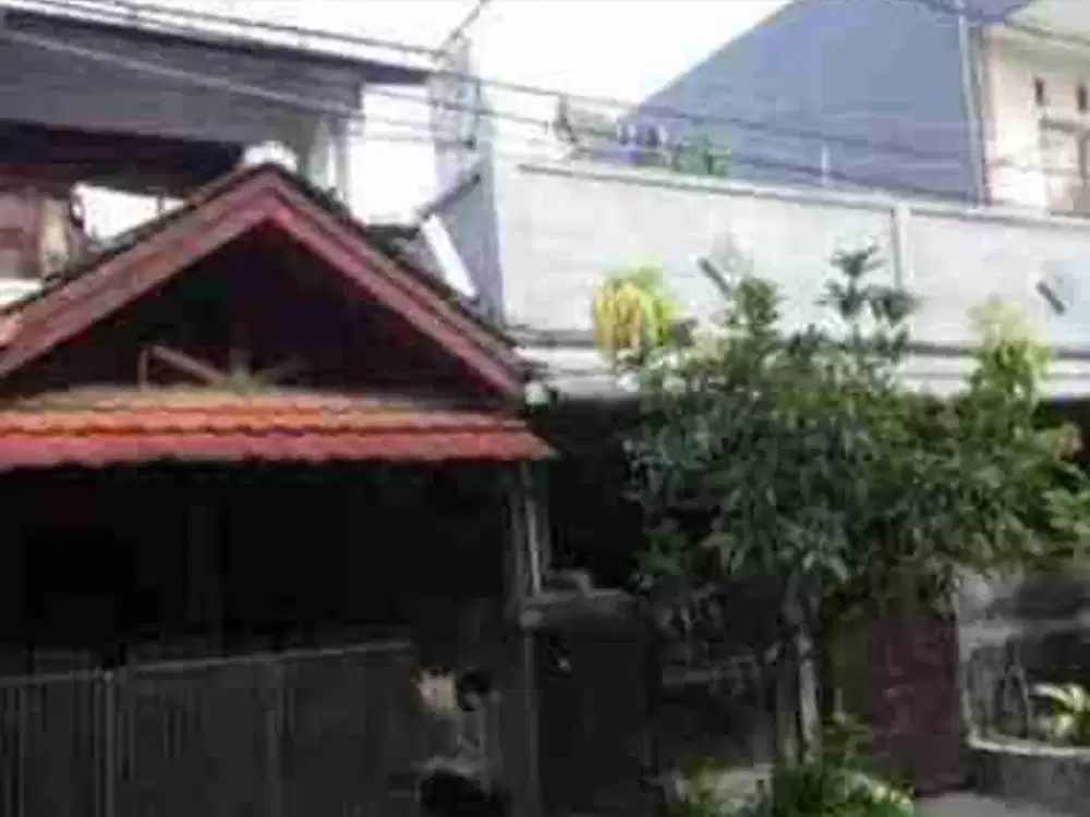 rumah 2lt di galaxy - Pulo sirih