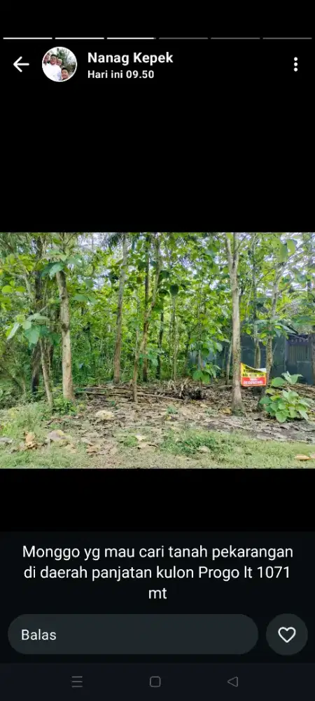 DIJUAL TANAH PEKARANGAN, Pinggir jalan