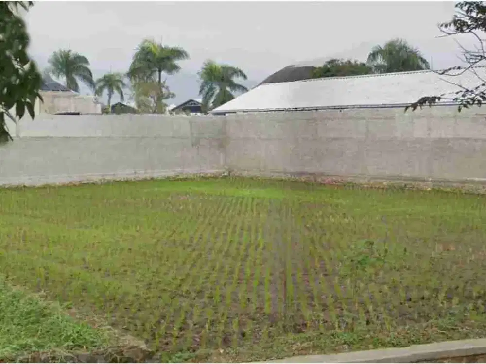 Jual Tanah Sawah Strategis Mainroad Soreang Banjaran