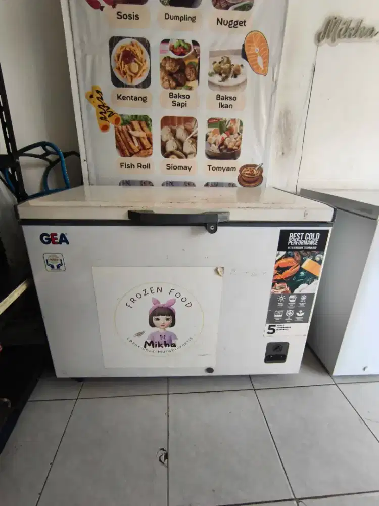 Freezer Box Gea 318 liter
