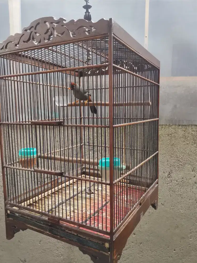 Poksay mandarin Fullset sangkar jati semi ukiran