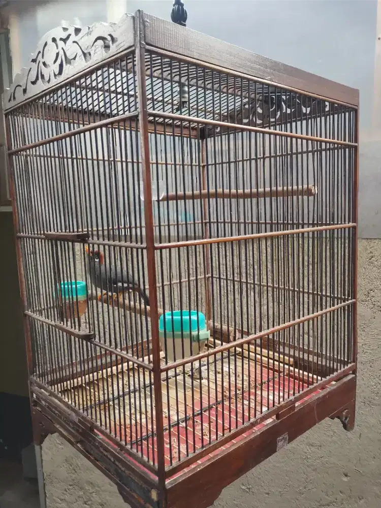 Poksay mandarin Fullset kurung jati semi ukiran