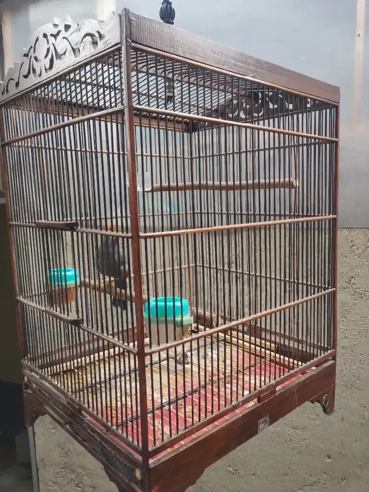 Poksay Mandarin Fullset kurung jati semi ukiran