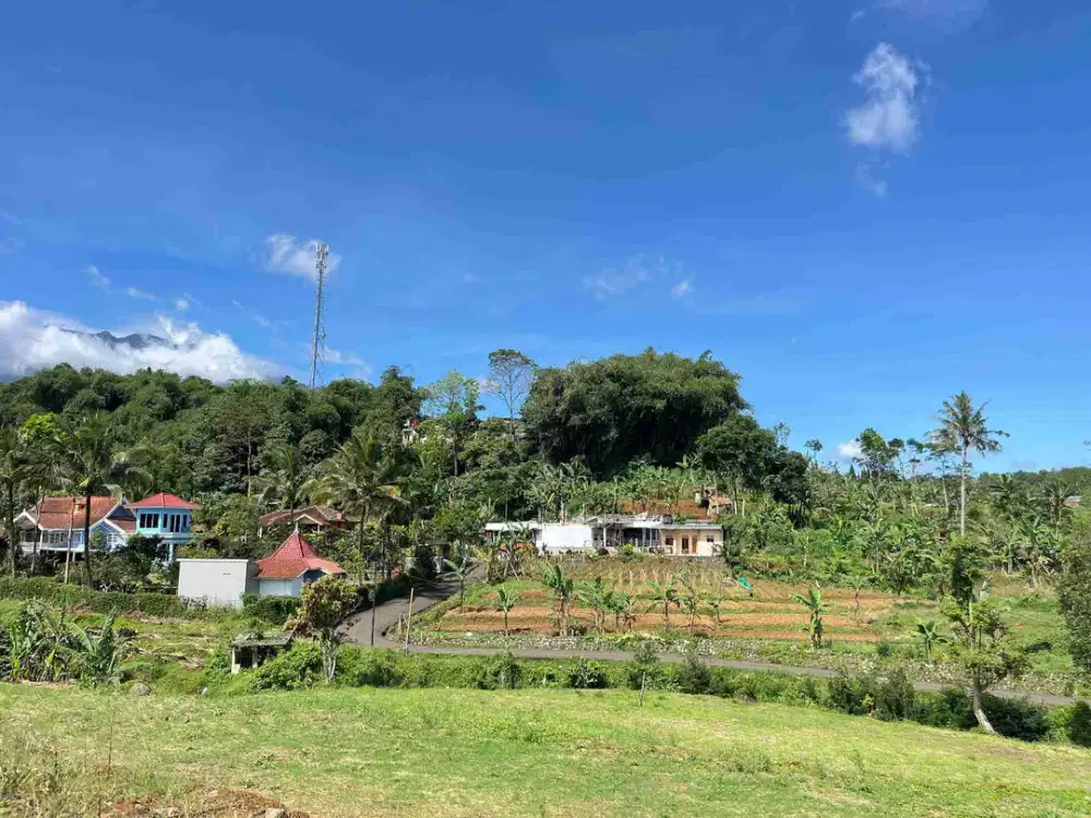 Tanah Puncak SHM Dijual Cepat Siap Bangun
