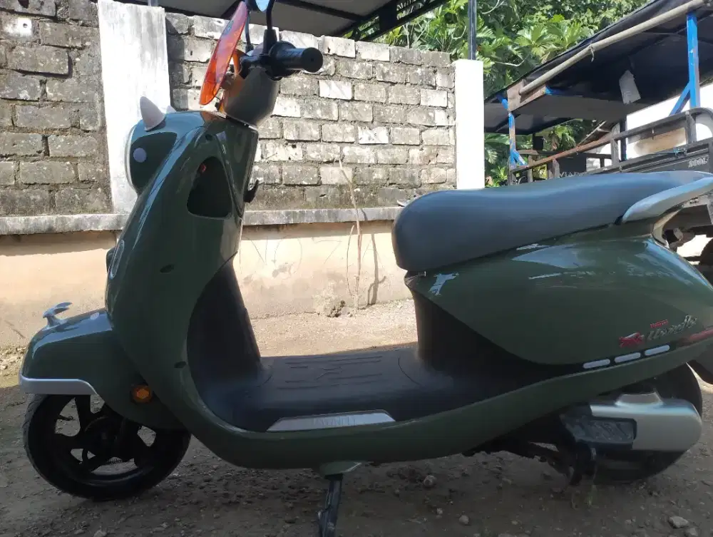 Sepeda listrik Uwinfly T65