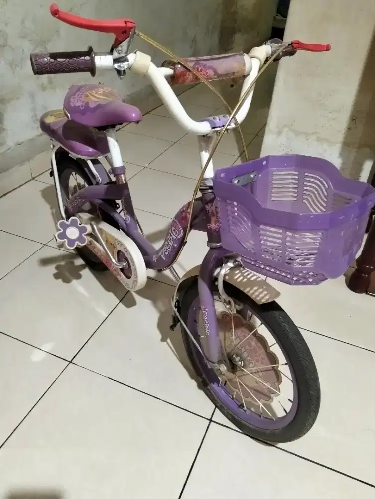 DI JUAL SEPEDA ANAK  CEWEK