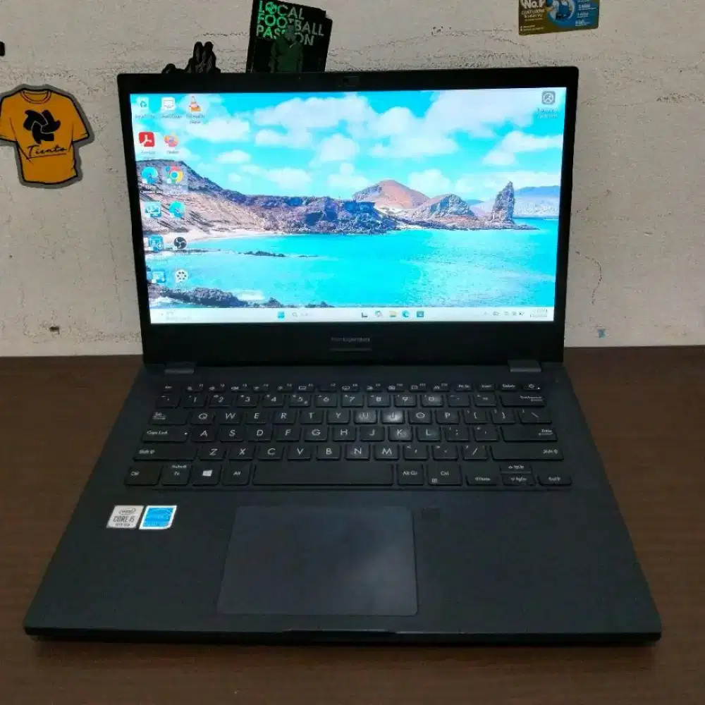 Asus Expertbook P2451FB Intel Core i5-10210U 8/256 SSD mx110