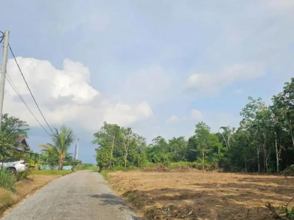 Tanah Kebun 9 Dekat Simpang Ahok