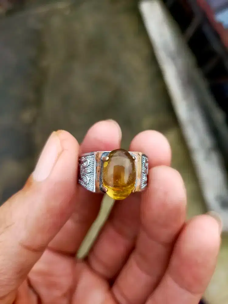 Jual kalimaya full jarong dim lumayan besar