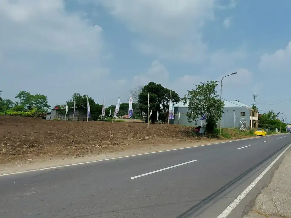 Utara Resto Jejamuran Tanah SHM Mangku Jl Pandowoharjo