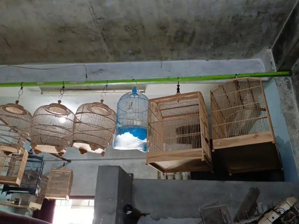 Obral Murah Sangkar Burung!!