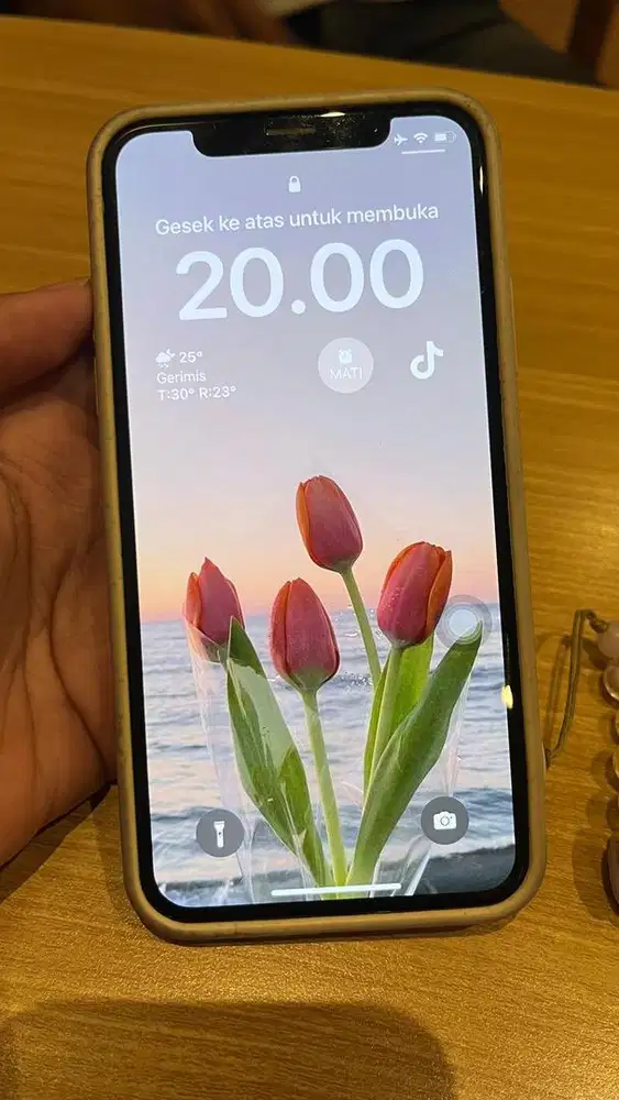 Iphone x resmi dijual