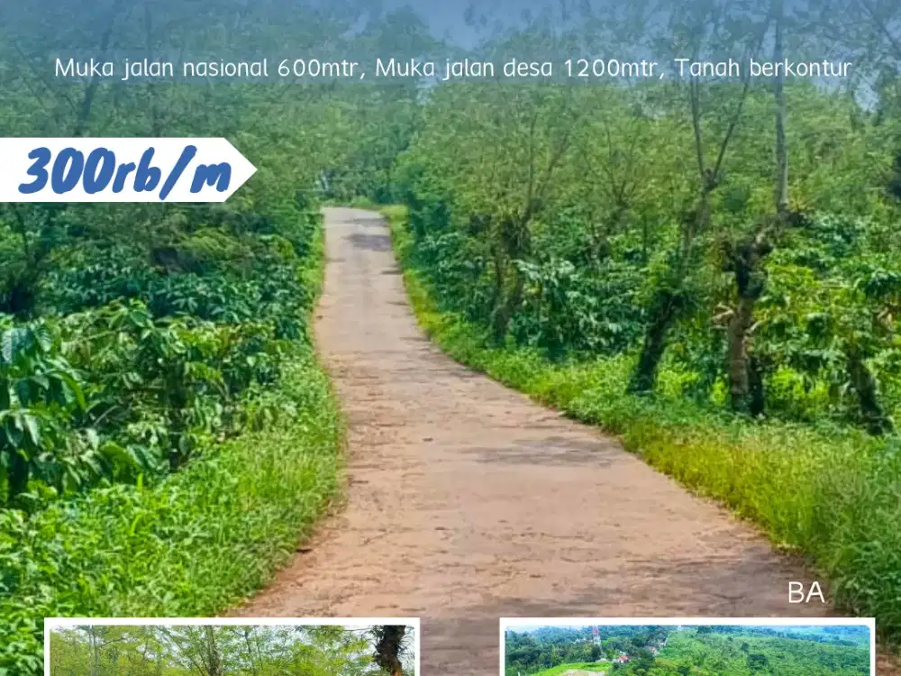 DIJUAL KAWASAN ZONA KUNING PERKOTAAN SEMARANG