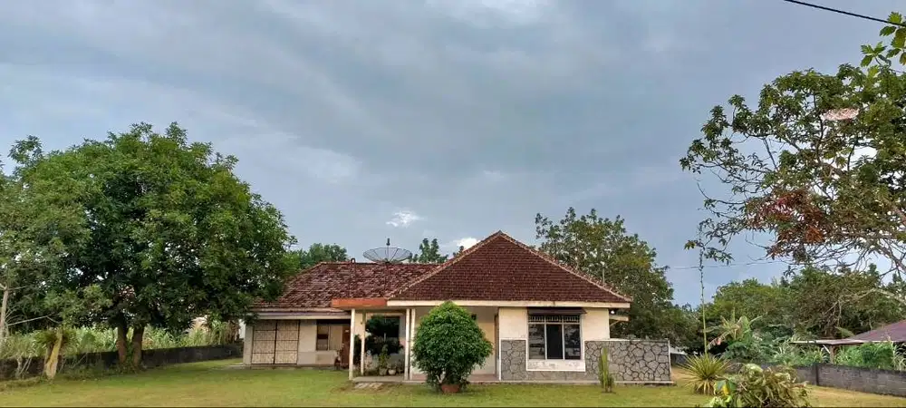 Rumah disewakan / Kerjasama Usaha/ Dijual
