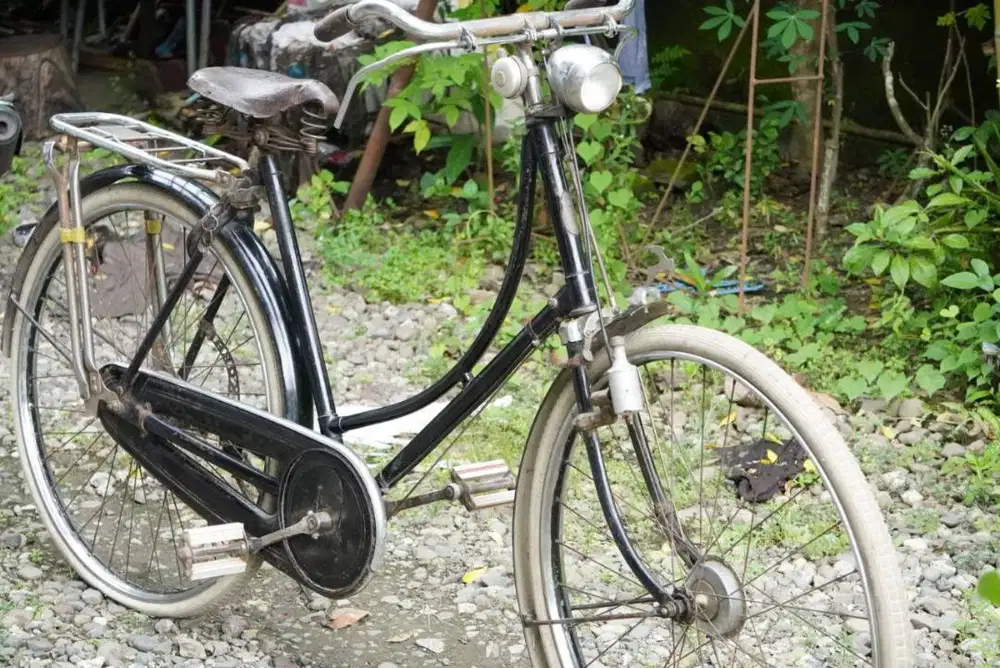 Meminang Sang Legenda Sepeda Gazelle