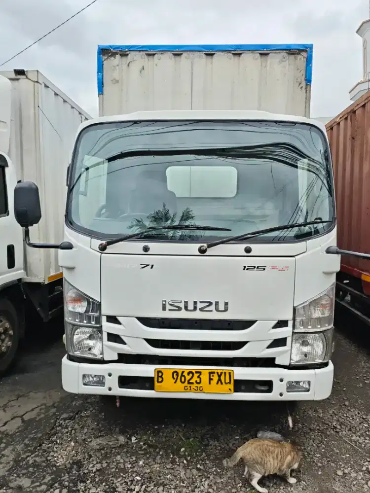Isuzu elf Nmr71Long THN 2019  (31,5 kbk)