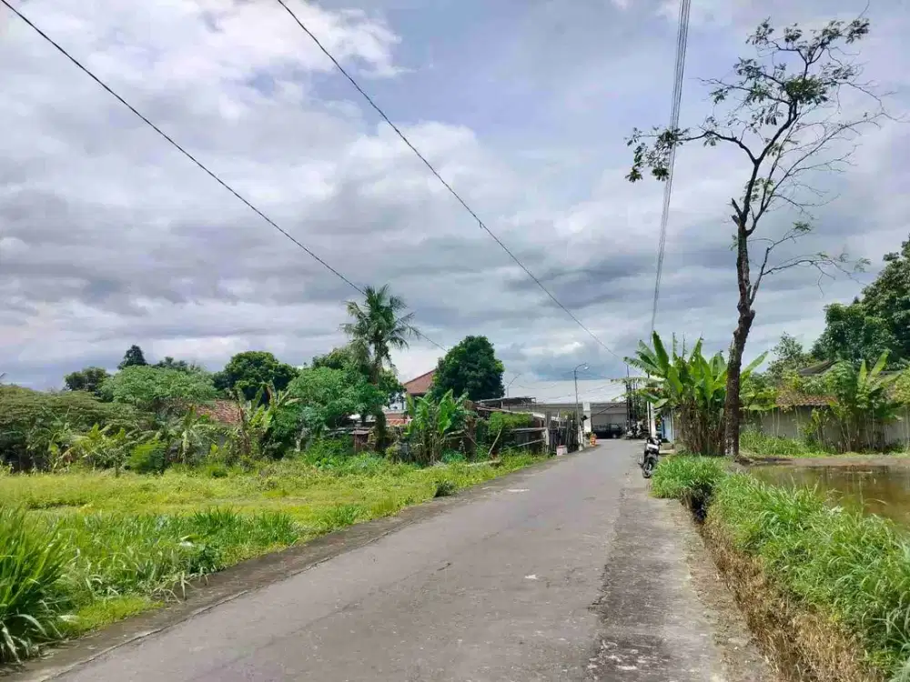 DIJUAL Tanah Sawah Donoharjo, Ngaglik Sleman
