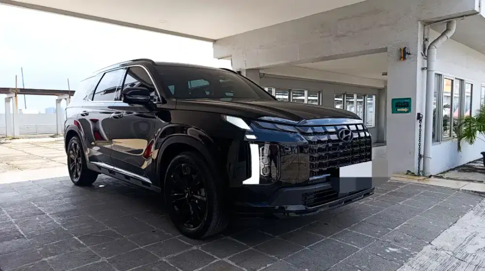 CAKEPP!! (KM6RB) HYUNDAI PALISADE SIGNATURE XRT 2024