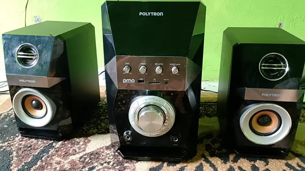 speaker polytron