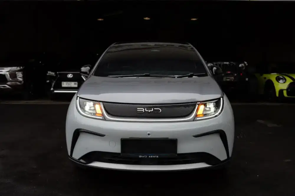 BYD Dolphin Premium EV 2024/2025 (D) Panoramic Long Range