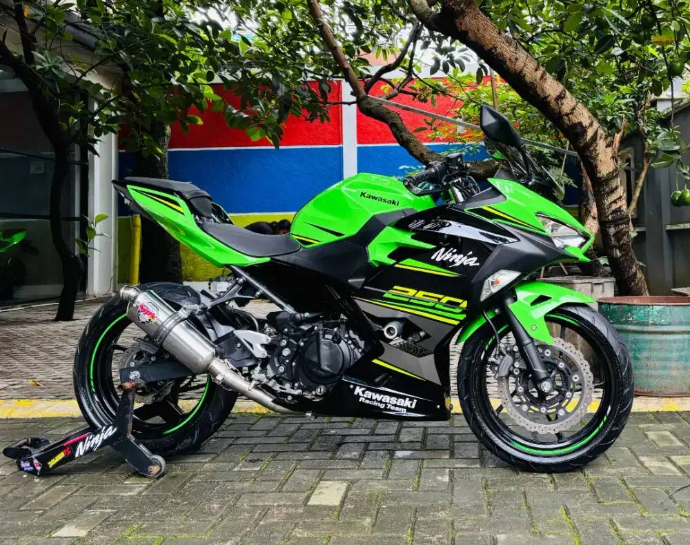 Kawasaki ninja 250 krt