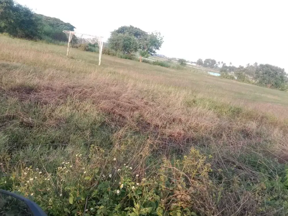 Dijual Cepat Tanah Sawah Nempel Jalan Raya di Rajeg By Rumah Chinida