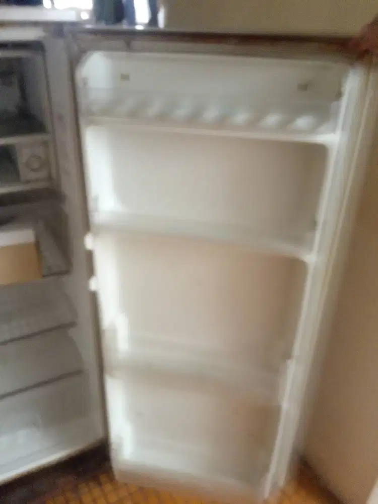 Kulkas sharp nice crystal gold 1 pintu