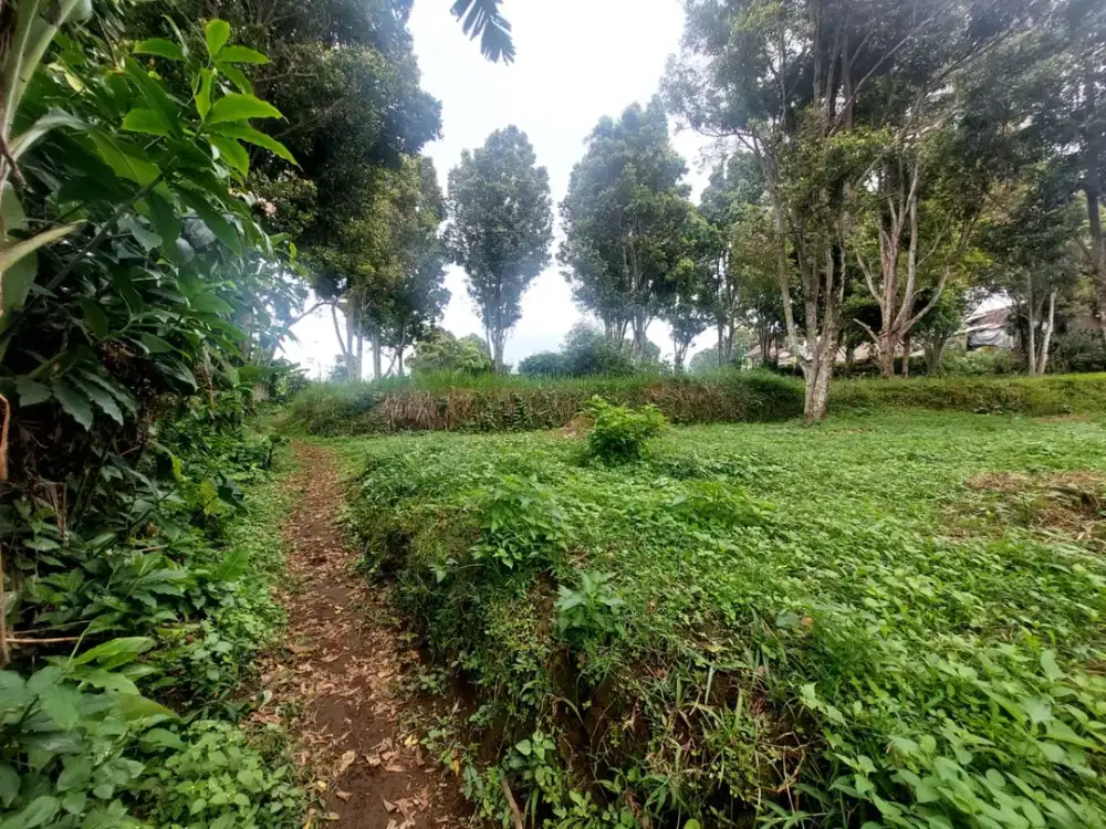 Dijual Kavling Cigugur Girang Ciwaruga Bandung Barat dekat Daarut Tauhid