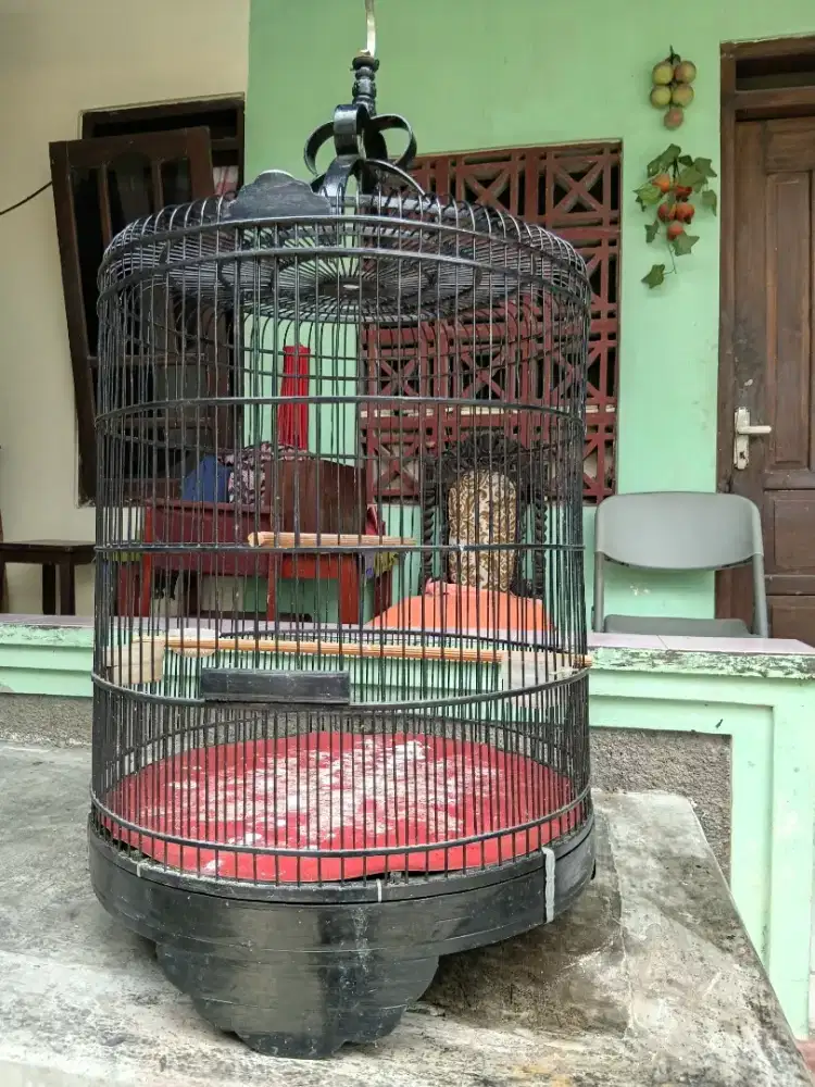 Sangkar murai no 2