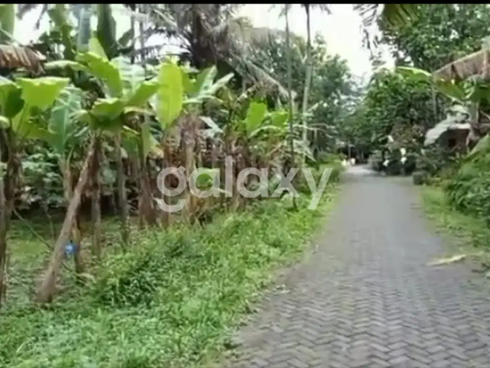 TANAH LUAS DAN STRATEGIS DI SLEMAN