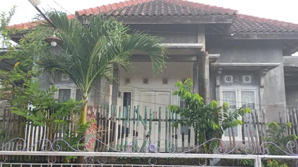 Di sewakan Rumah Murah