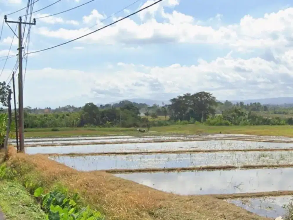 Jual Tanah View Sawah Di Jalan Pantai  Kelating Kerambitan Tabanan Bali.Dekat Soori Bali, Tanah lot, Pantai Klecung,Dll.
