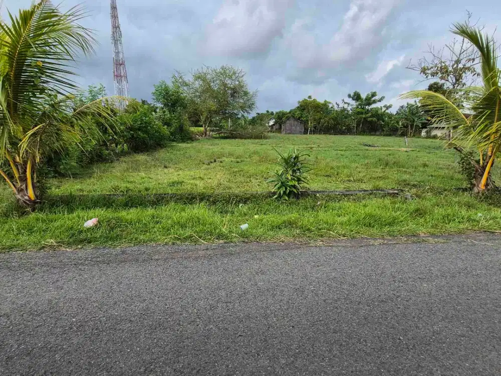 TANAH 4 ARE DI LELATENG AWEN DI JEMBRANA