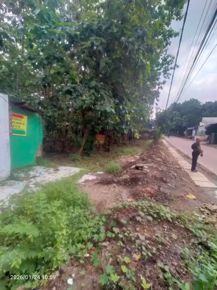 Dijual tanah 6.500m di begog, jln raya Kramat watu - Waringin kurung.