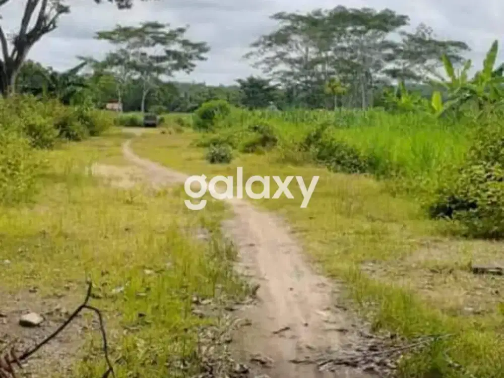 Tanah cocok Usaha di Wates Kulonprogo Yogyakarta