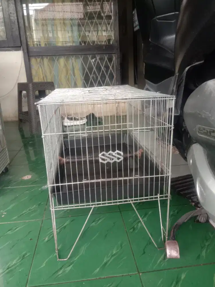 Kandang mandi murai 100 net pondok aren ruji tebal