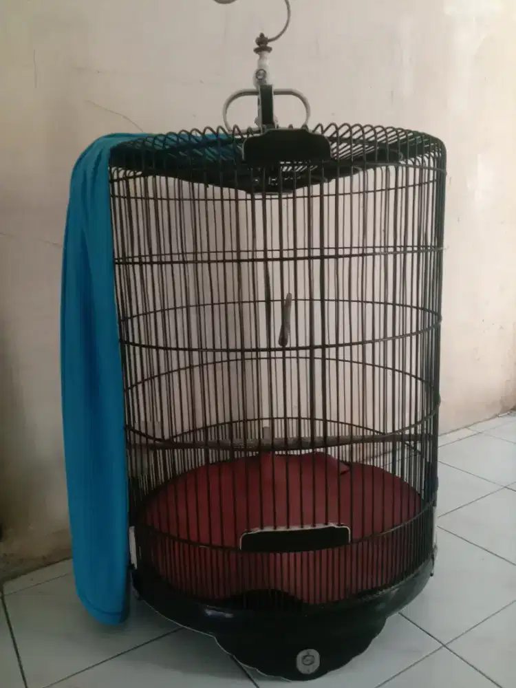 Kandang murai Ebod jaya no 1 Lis akrilik fulset krodong tebel 550 k