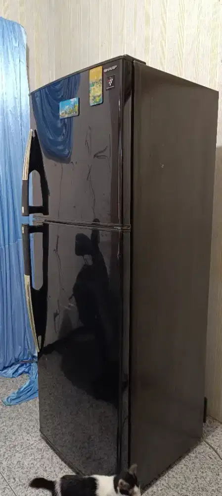 Kulkas Sharp plasmacluster original