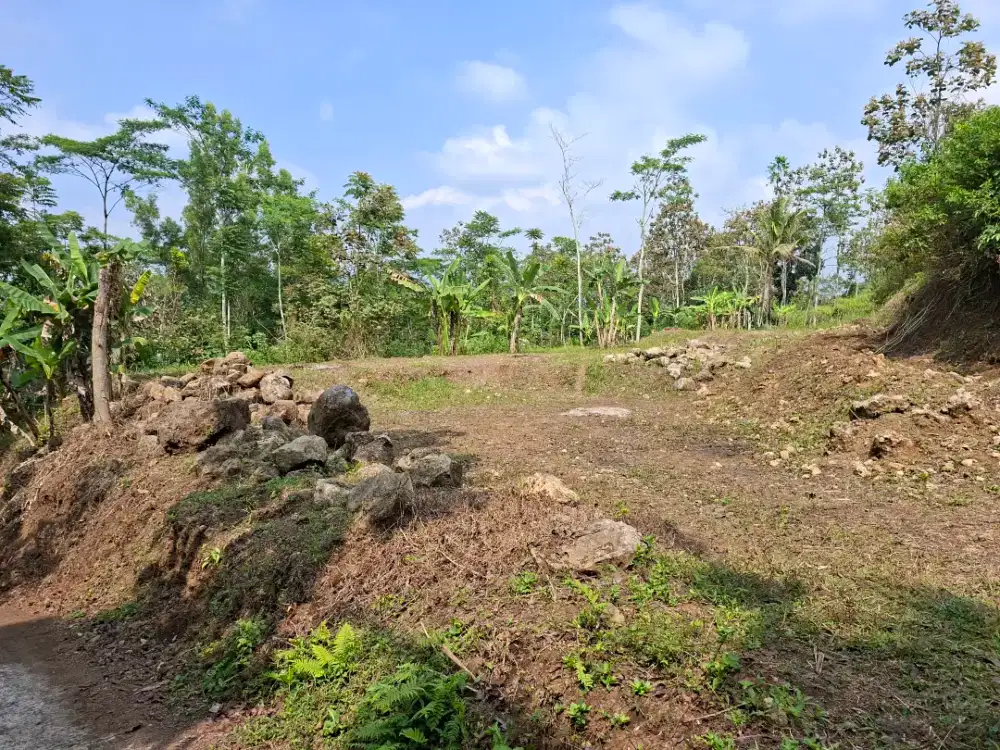 Tanah dijual cepat ber SHM