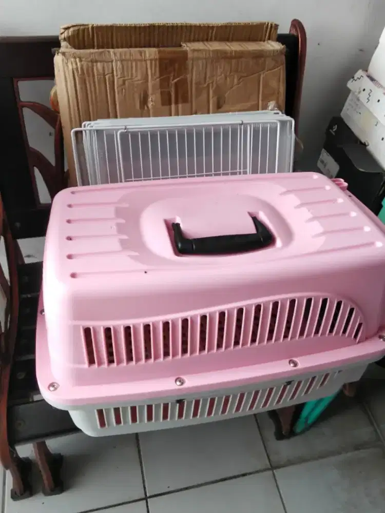 Pet cargo travel