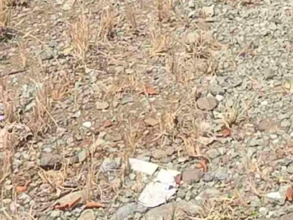 Tanah Disewakan Fatmawati Raya