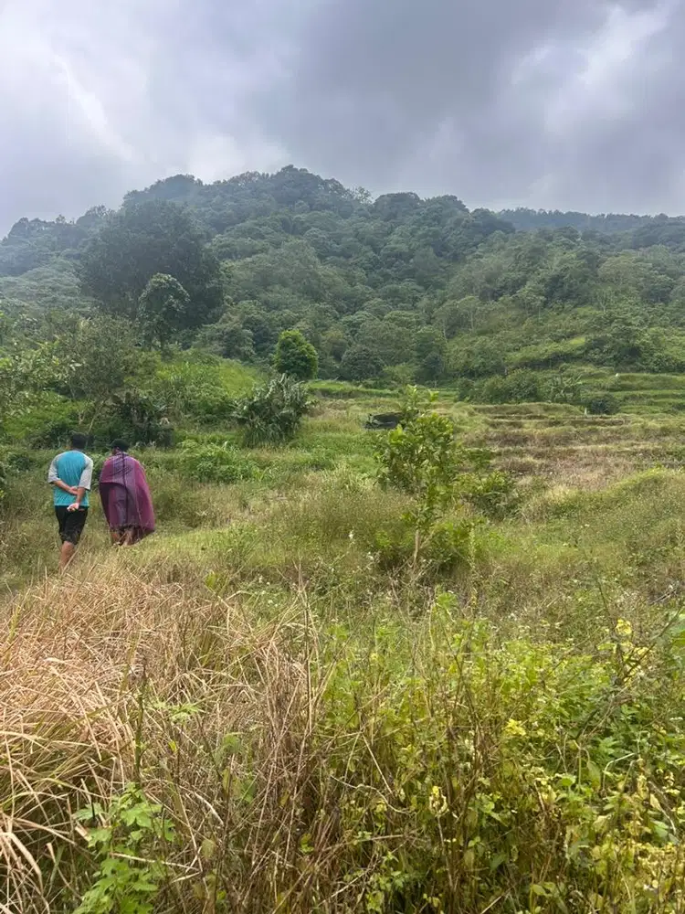 Dijual tanah sembalun