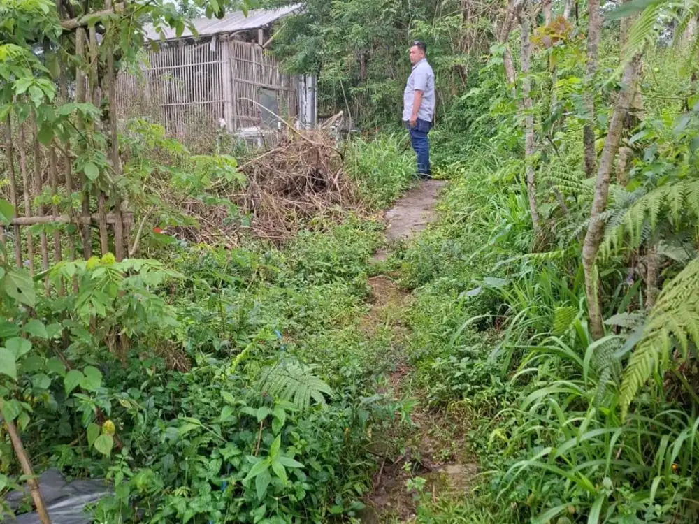 Tanah Kapling Luas & Strategis – Pinggir Jalan di Kemawi, Sumowono (NSB)